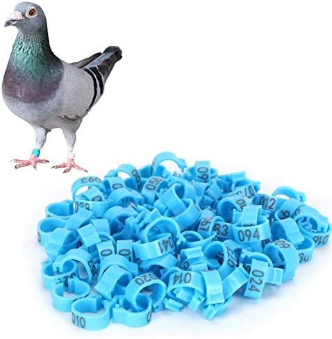 100 Anneaux Identification Volaille - Plastique Coloré Pour Poulets, Pigeons, Cailles - 14-22mm