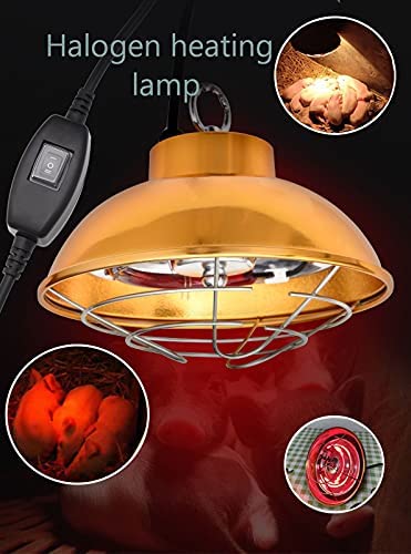Lampe Chauffante Infrarouge 175W Pour Poussins Et Animaux - Rouge Thermostatique