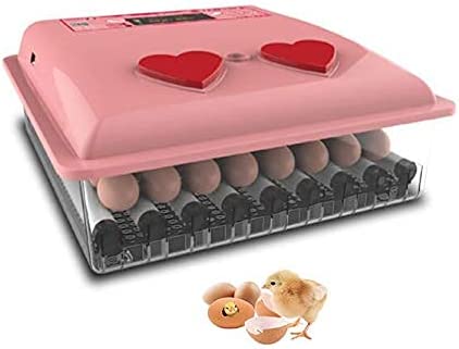 Incubateur Automatique 12 Oeufs Numérique - Hatcher Poulet Avec Contrôle Température Et Rotation Auto